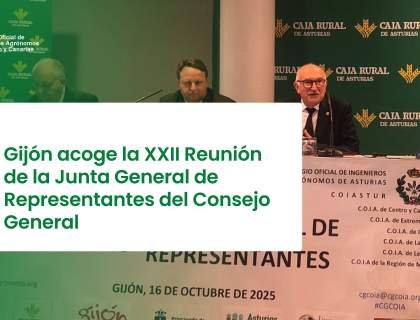 Gijón acoge la XXII Reunión de la Junta General de Representantes del Consejo General