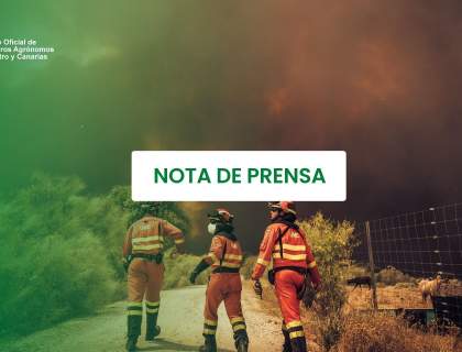 Los ingenieros agrónomos preparan medidas de apoyo para los afectados por los incendios