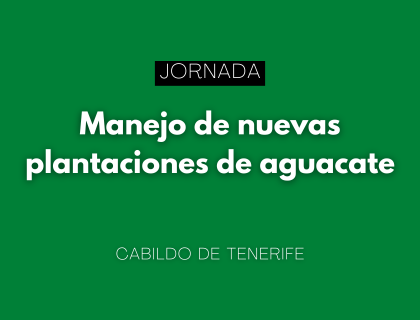 El Cabildo de Tenerife organiza una jornada sobre el manejo de nuevas plantaciones de aguacate en Güímar