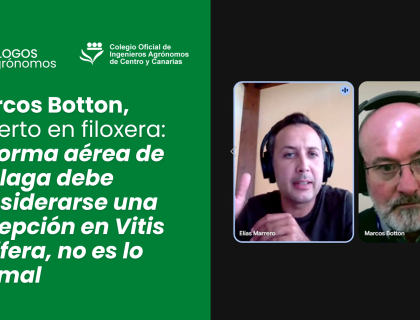 Marcos Botton, experto en filoxera: La forma aérea de la plaga debe considerarse una excepción en Vitis vinifera, no es lo normal