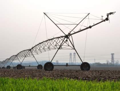 Jornada. El regadío: Producción agrícola competitiva y sostenible (14/11/24)