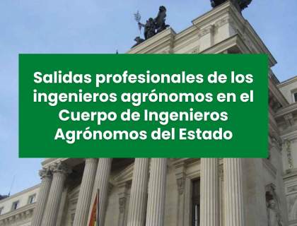 Salidas profesionales de los ingenieros agrónomos en el Cuerpo de Ingenieros Agrónomos del Estado