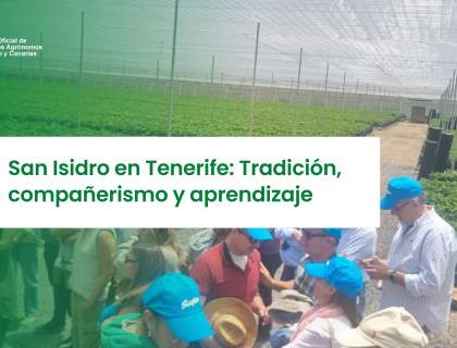 San Isidro en Tenerife: Tradición, compañerismo y aprendizaje