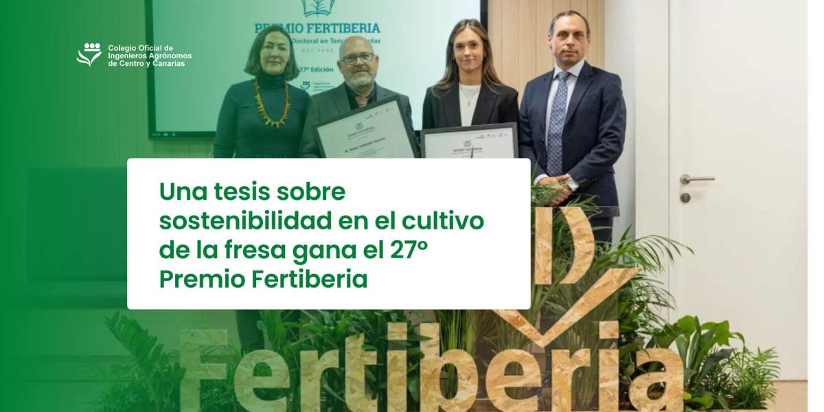 Una tesis sobre sostenibilidad en el cultivo de la fresa gana el 27º Premio Fertiberia