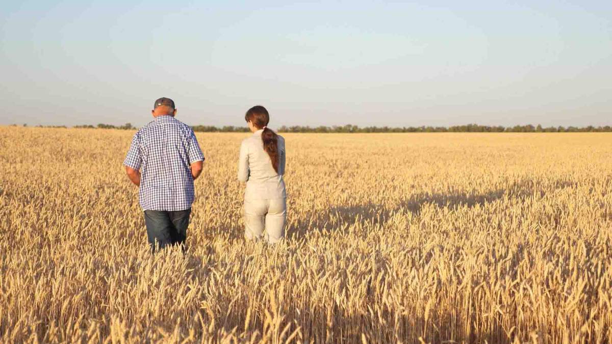 Ingenieros agrónomos e ingenieros técnicos agrícolas exigen un diálogo en el que se ofrecen como interlocutores para acabar con el hartazgo del campo