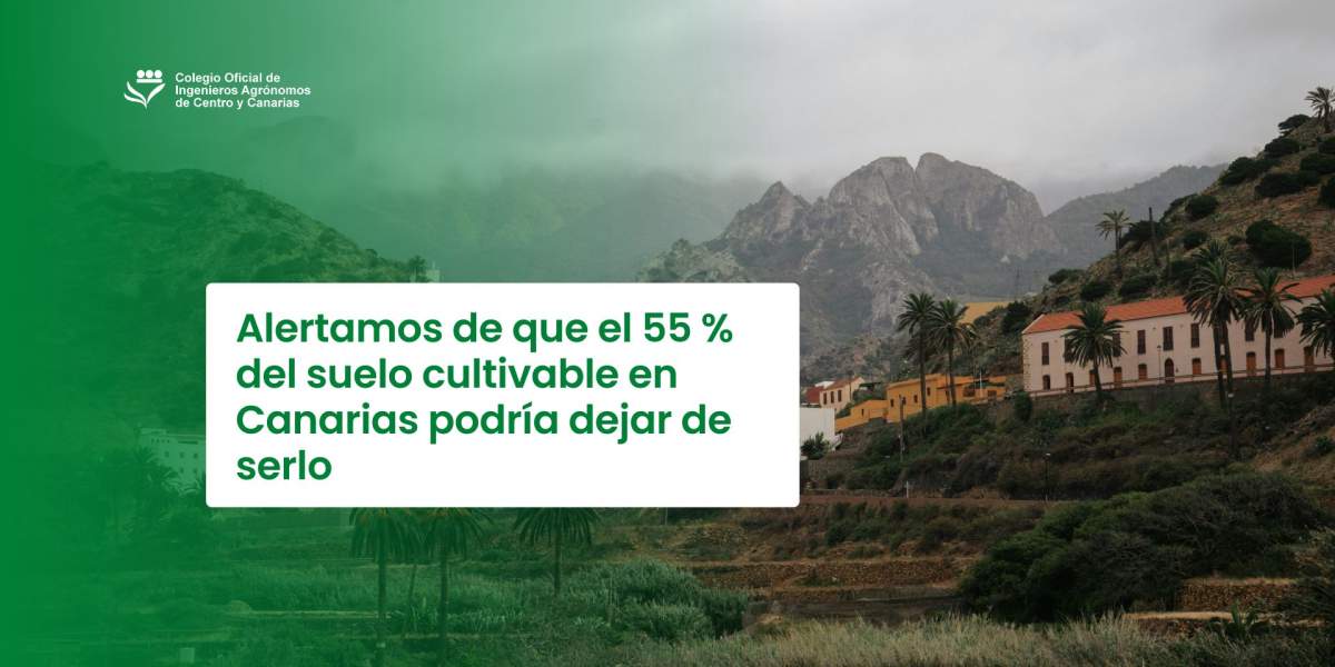 Alertamos de que el 55 % del suelo cultivable en Canarias podría dejar de serlo
