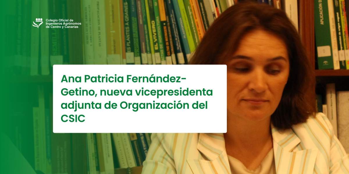 Ana Patricia Fernández-Getino, nueva vicepresidenta adjunta de Organización del CSIC