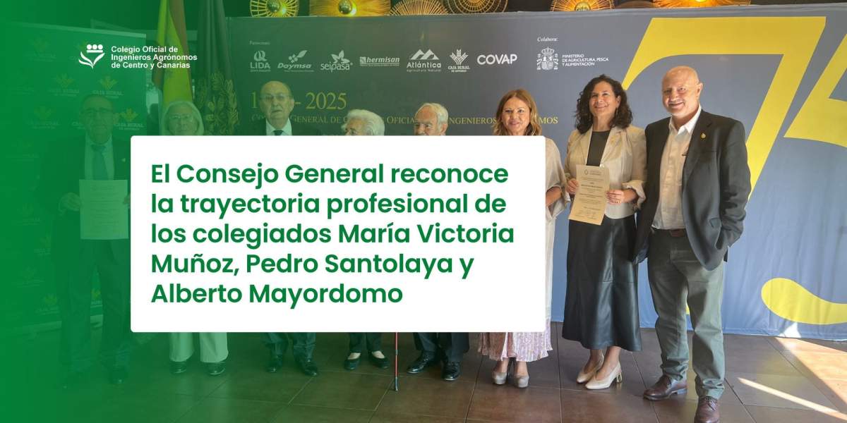El Consejo General reconoce la trayectoria profesional de los colegiados María Victoria Muñoz, Pedro Santolaya y Alberto Mayordomo