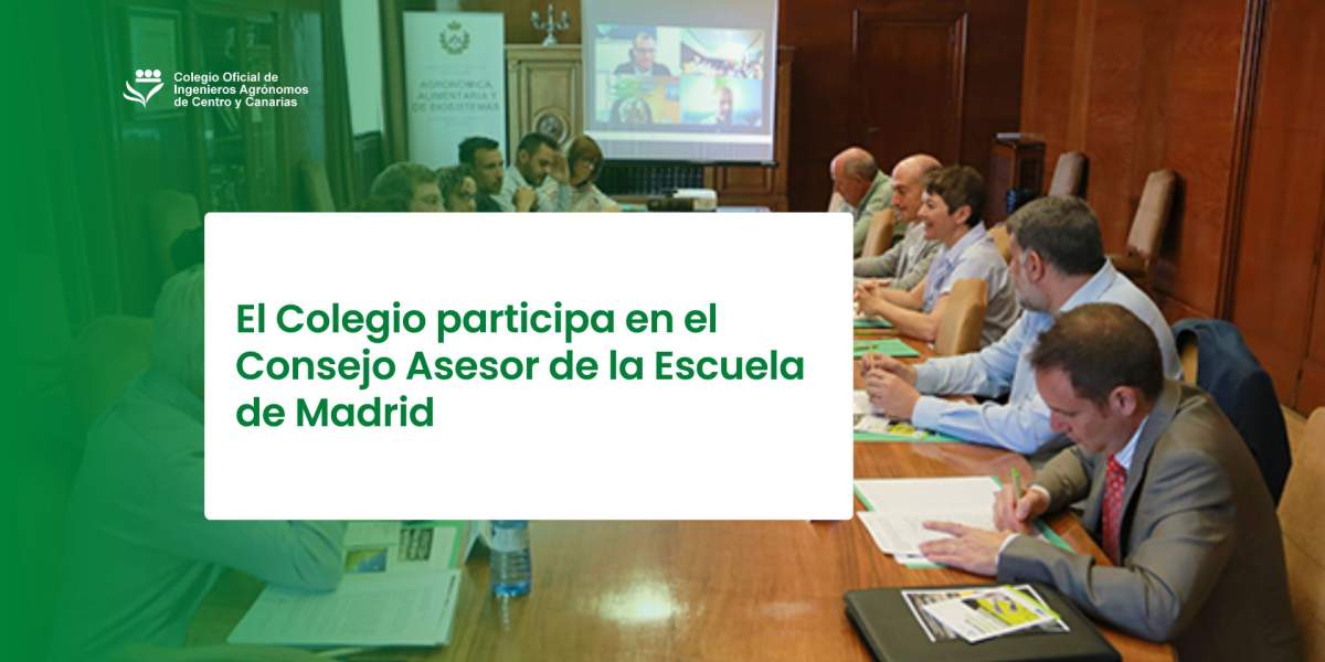 El decano participa en el Consejo Asesor de la Escuela de Madrid El decano participa en el Consejo Asesor de la Escuela de Madrid