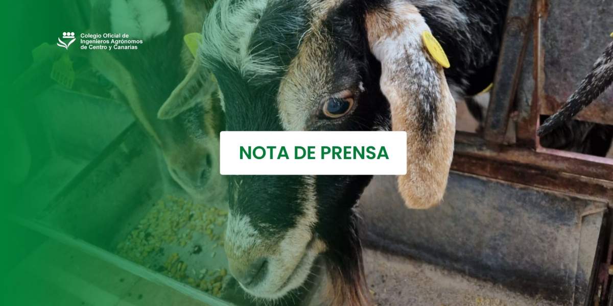 El Colegio de Ingenieros Agrónomos advierte de los riesgos de abordar proyectos ganaderos sin especialistas en producción agroganadera