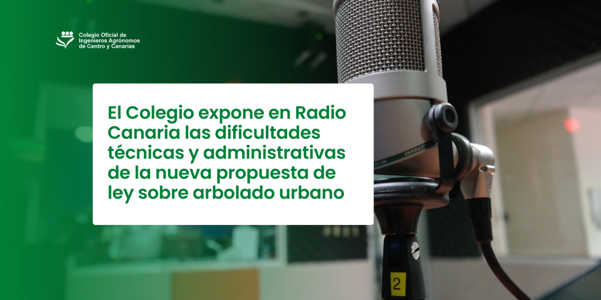 El Colegio expone en Radio Canaria las dificultades técnicas y administrativas de la nueva propuesta de ley sobre arbolado urbano