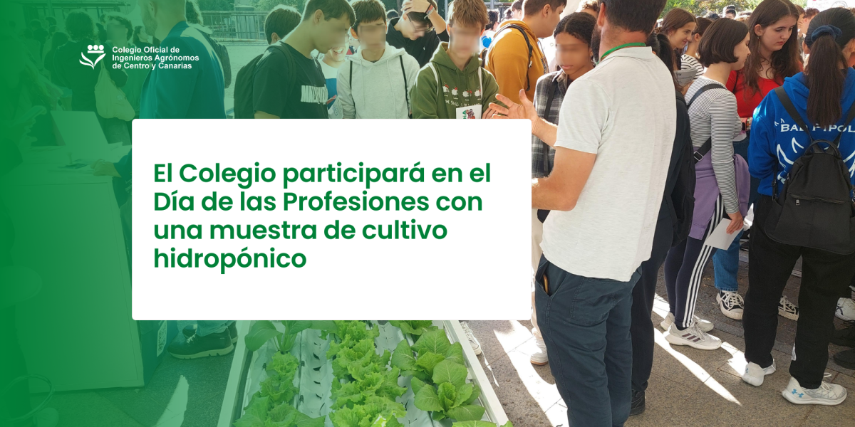 El Colegio participará en el Día de las Profesiones con una muestra de cultivo hidropónico