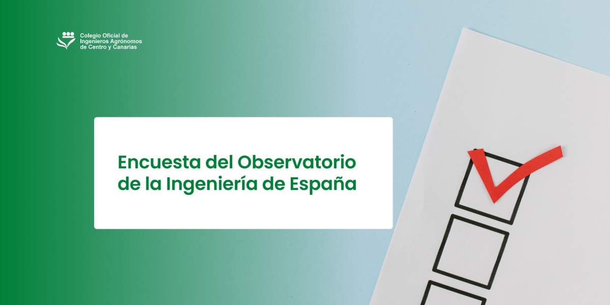 Encuesta del Observatorio de la Ingeniería de España