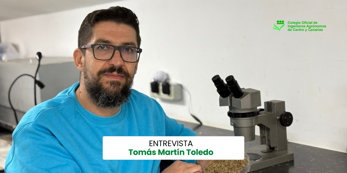 Tomás Martín: "Las especies autóctonas canarias nos permiten trabajar con los mejores organismos de control biológico"