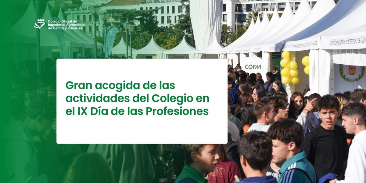 Gran acogida de las actividades del Colegio en el IX Día de las Profesiones