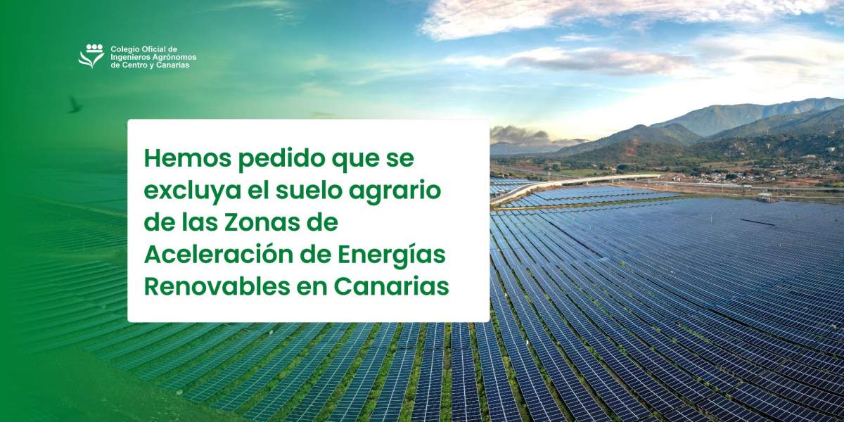 Hemos pedido que se excluya el suelo agrario de las Zonas de Aceleración de Energías Renovables en Canarias