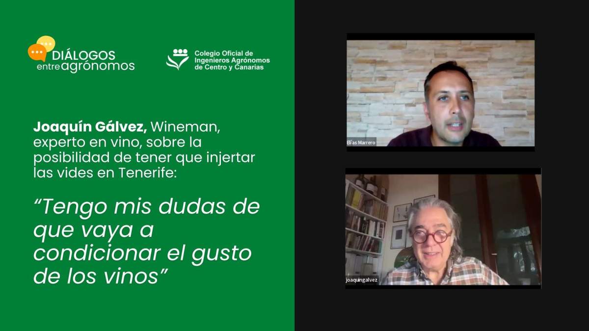 Filoxera. Entrevista a Joaquín Gálvez, Wineman, experto en vino