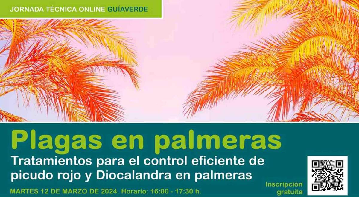 Jornada online sobre tratamientos para el control eficiente de picudo rojo y Diocalandra en palmeras