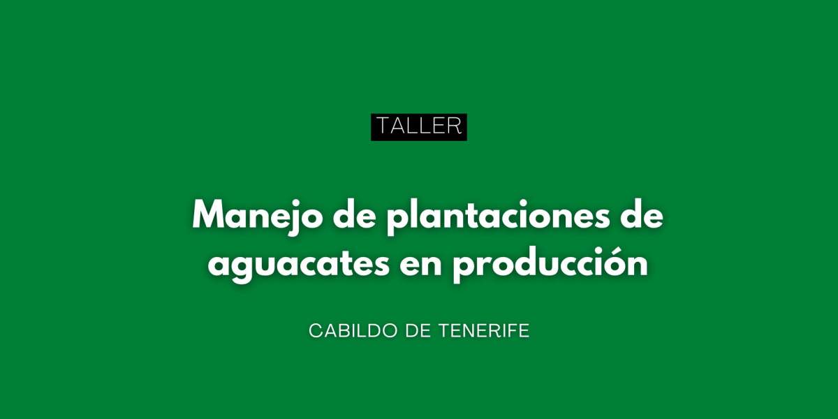 Taller gratuito sobre manejo de plantaciones de aguacate (Tenerife) Taller gratuito sobre manejo de plantaciones de aguacate (Tenerife)