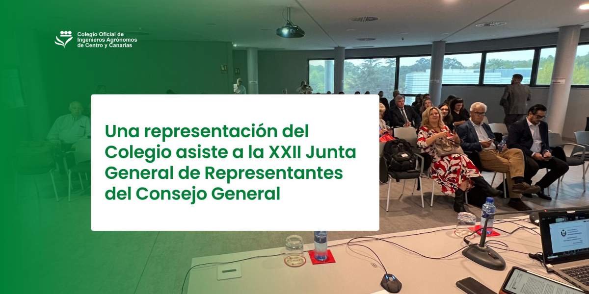 Una representación del Colegio asiste a la XXII Junta General de Representantes del Consejo General