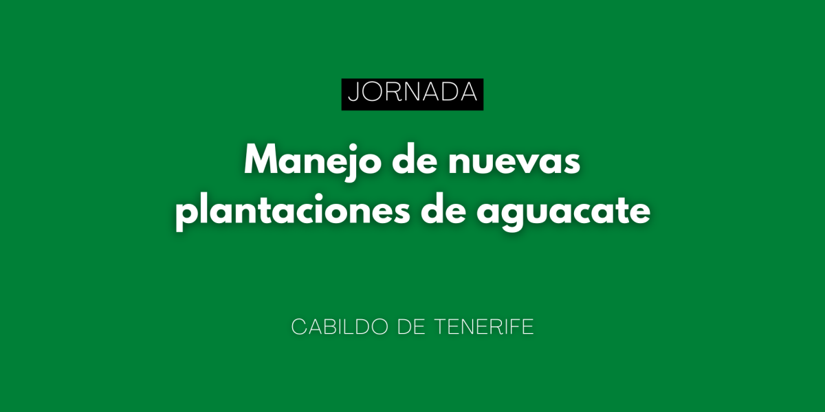 El Cabildo de Tenerife organiza una jornada sobre el manejo de nuevas plantaciones de aguacate en Güímar