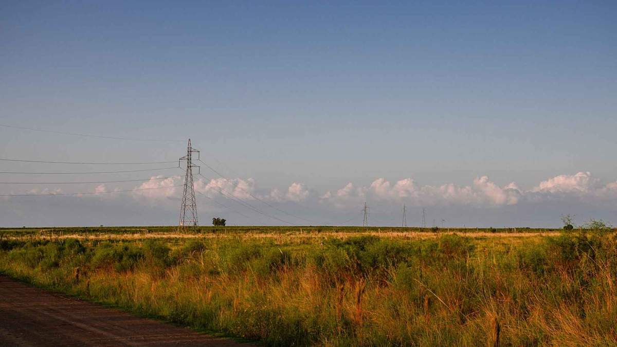 Cuidar el medio ambiente también está en el ADN de los ingenieros agrónomos