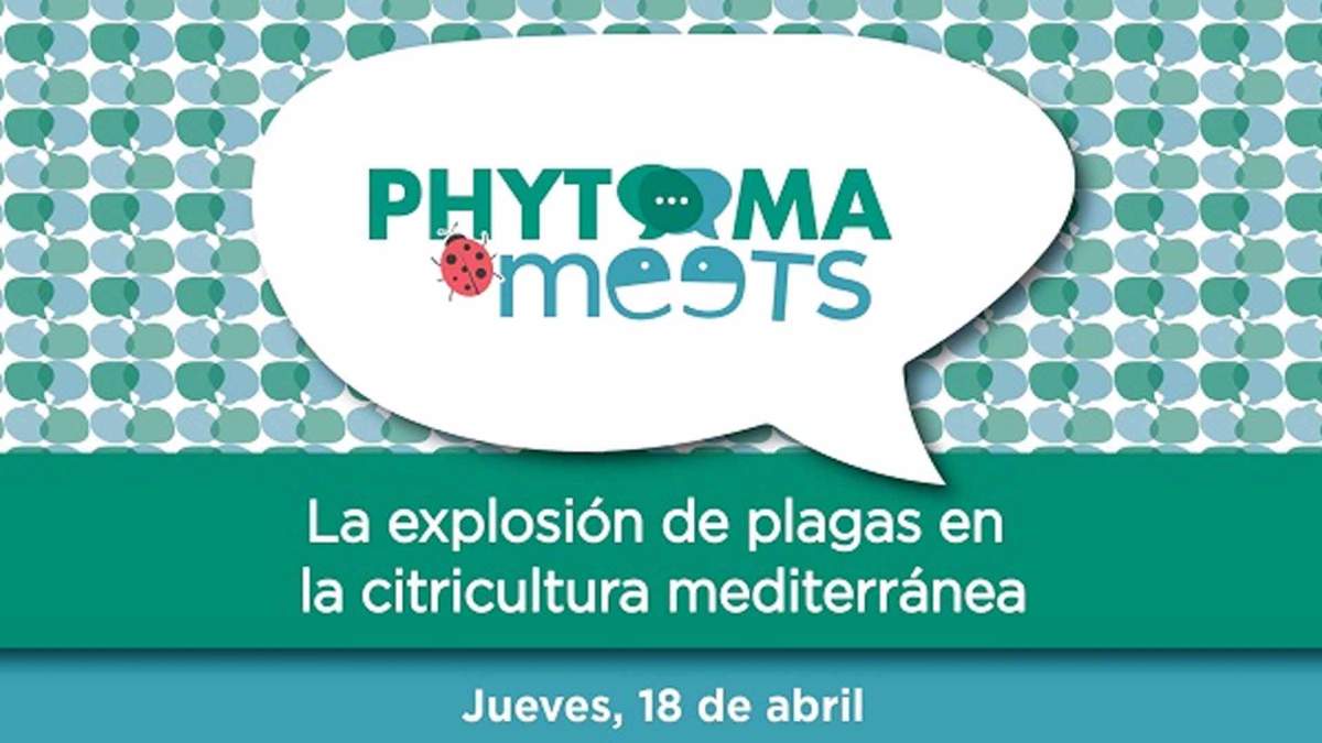 Phytoma Meets: Plagas en la citricultura mediterránea