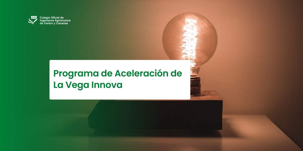 Programa de Aceleración de La Vega Innova