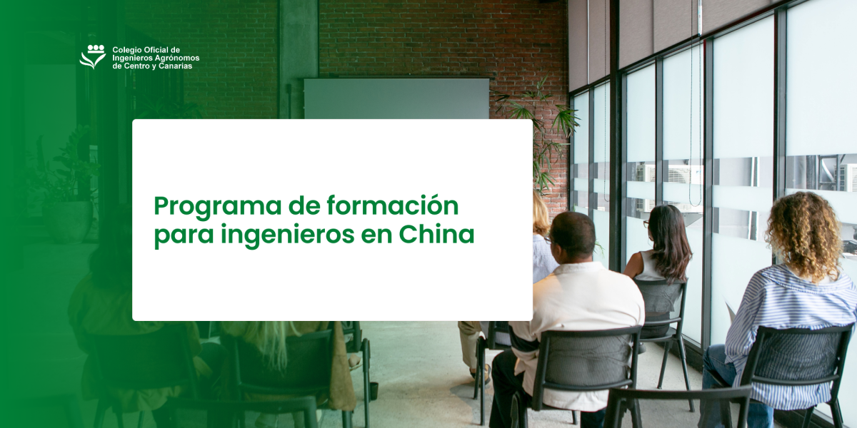 Programa de formación para ingenieros en China 