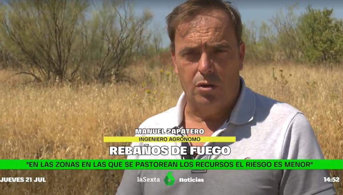 Ingenieros agronomos - Rebanos de fuego