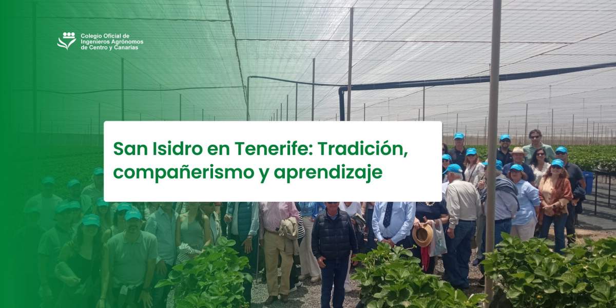 San Isidro en Tenerife: Tradición, compañerismo y aprendizaje