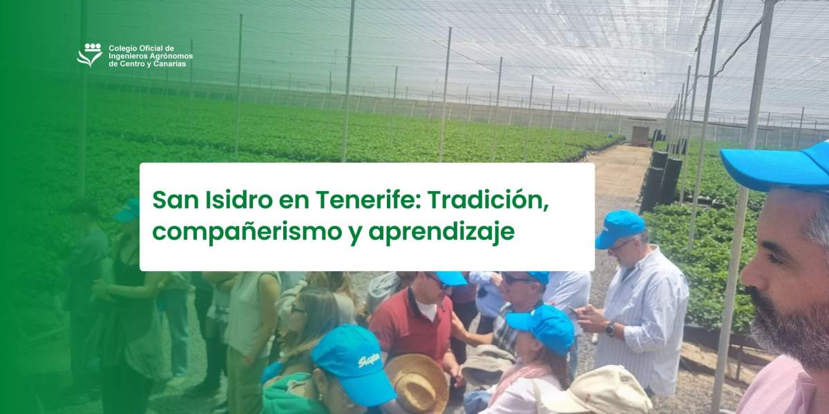 San Isidro en Tenerife: Tradición, compañerismo y aprendizaje