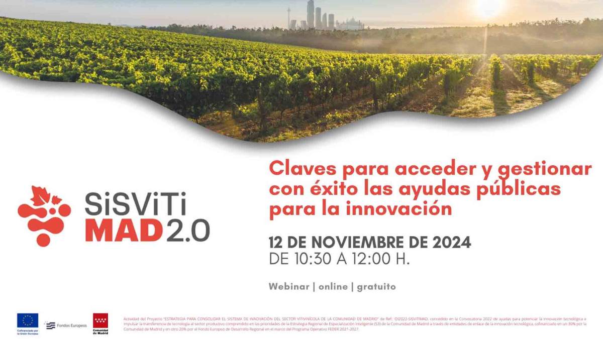 Webinar "Claves para acceder y gestionar con éxito las ayudas públicas para la Innovación"