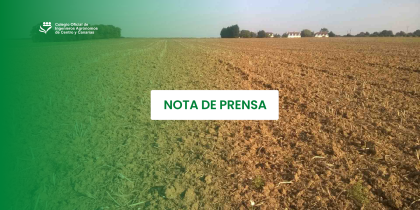 Los ingenieros agrónomos piden mejoras clave en el borrador de la Ley del Suelo para garantizar el futuro del campo canario