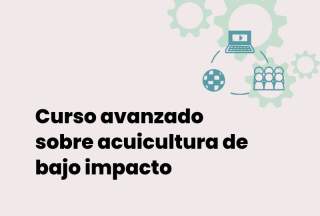 El IAMZ organiza en Tarragona un curso avanzado sobre acuicultura de bajo impacto