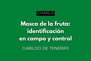 Charla. Mosca de la fruta: identificación en campo y control