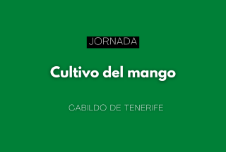 Cultivo del mango