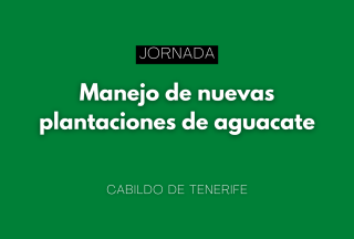 El Cabildo de Tenerife organiza una jornada sobre el manejo de nuevas plantaciones de aguacate en Güímar